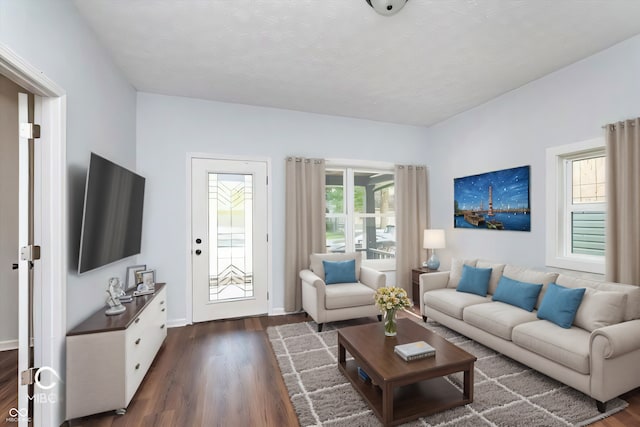 living room with dark hardwood / wood-style flooring