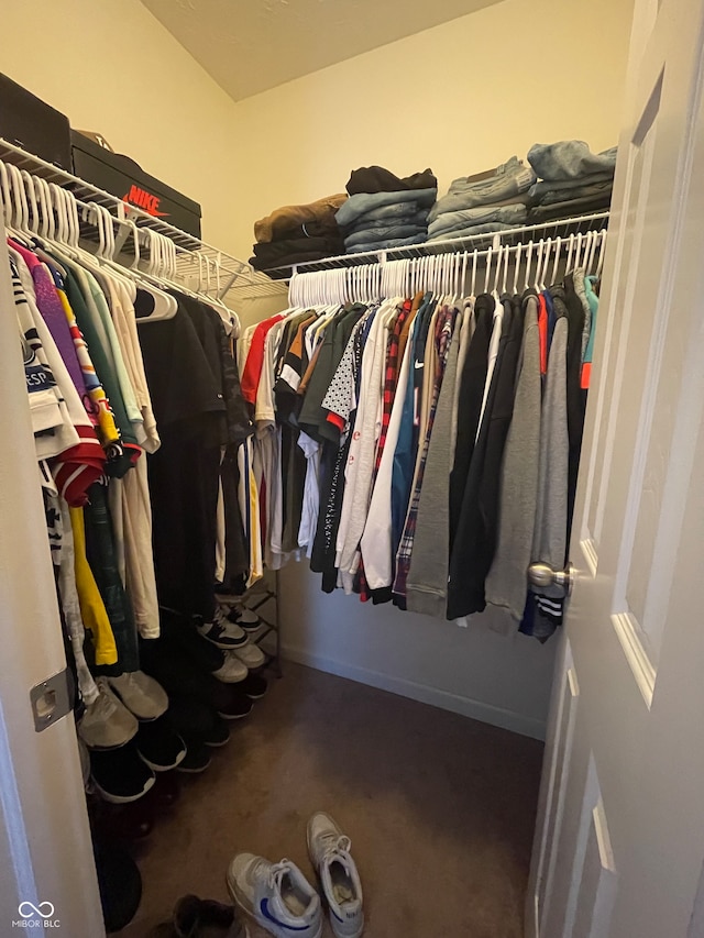 spacious closet featuring carpet flooring