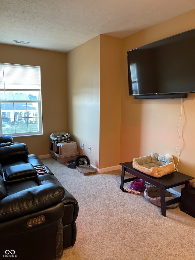 living room with carpet floors and a textured ceiling