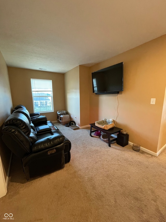 living room featuring carpet floors