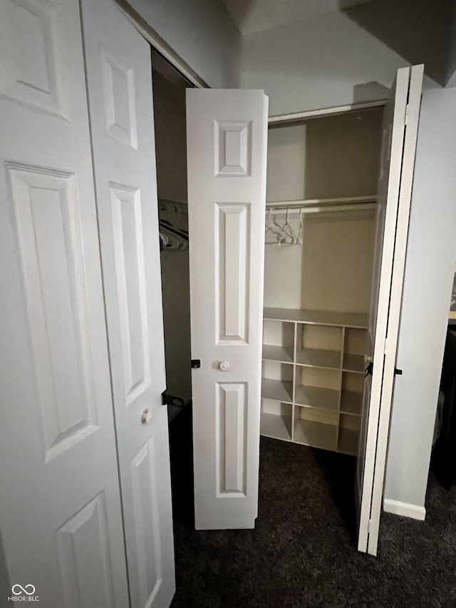 view of closet