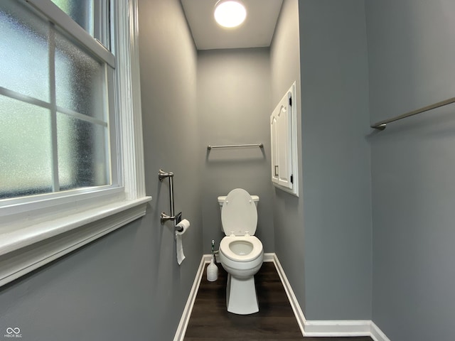 bathroom with wood-type flooring and toilet