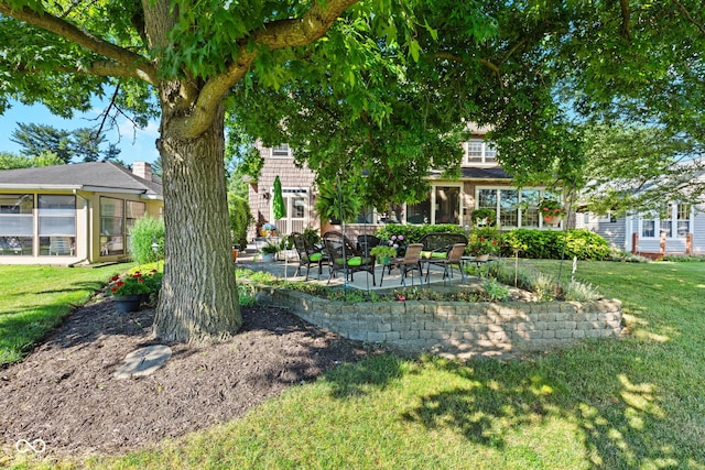 view of yard featuring a patio area