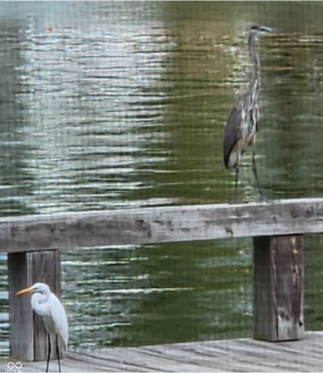 view of dock