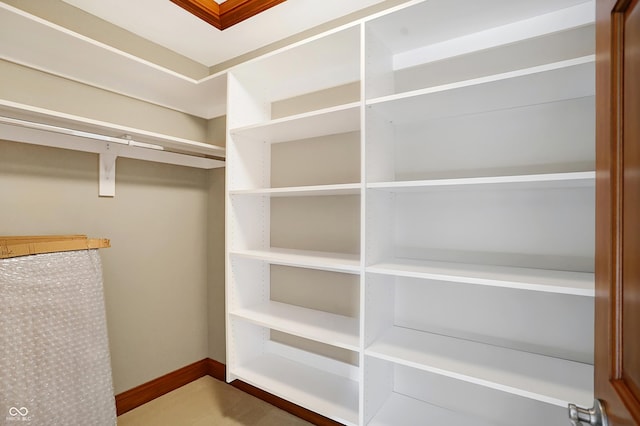 view of walk in closet