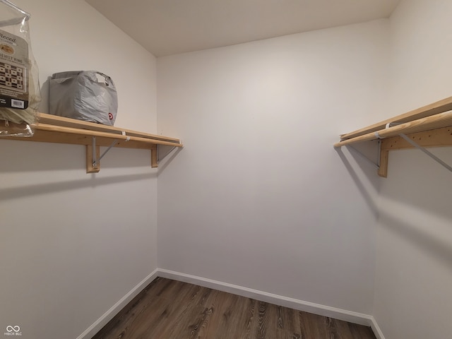 spacious closet with dark hardwood / wood-style flooring