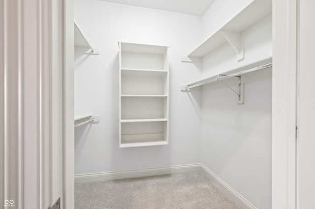 walk in closet with carpet floors