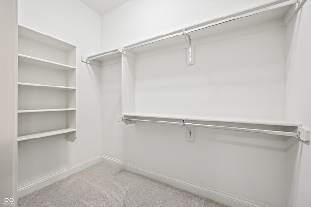 walk in closet with carpet flooring