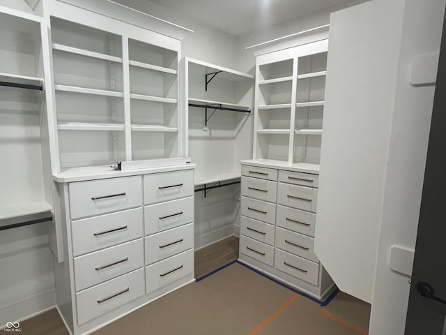 view of spacious closet