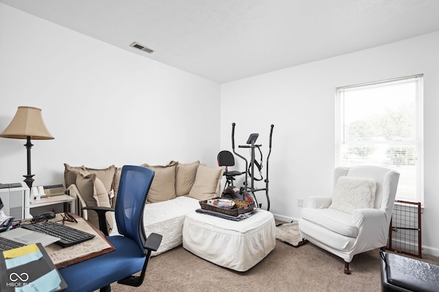 home office with visible vents, baseboards, and carpet floors