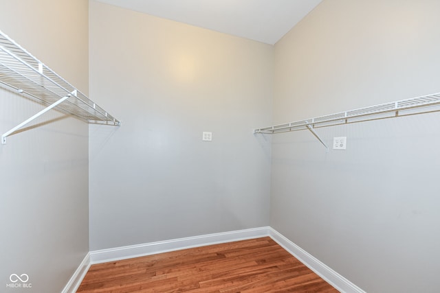 spacious closet featuring hardwood / wood-style floors