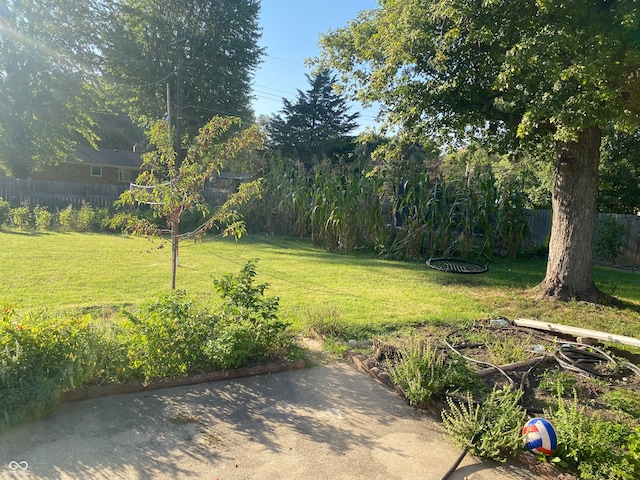 view of yard with a patio area