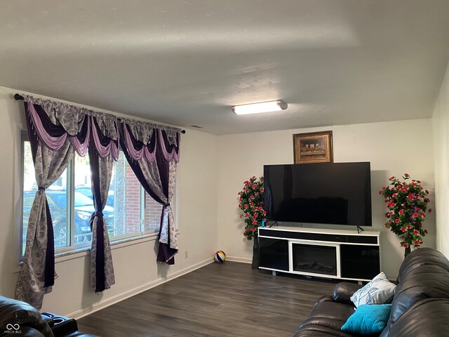 living room with wood-type flooring