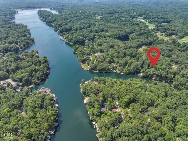 bird's eye view featuring a forest view and a water view