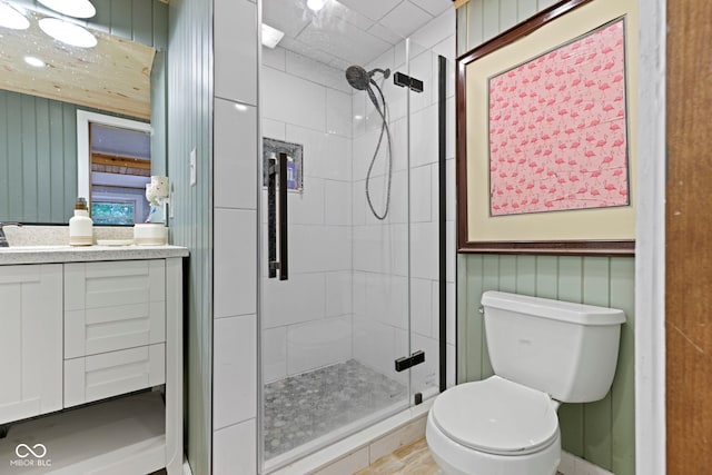 bathroom featuring toilet, a stall shower, and vanity