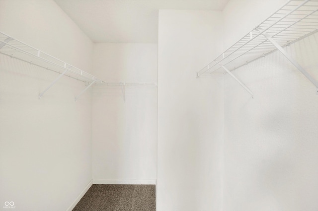 spacious closet with carpet flooring