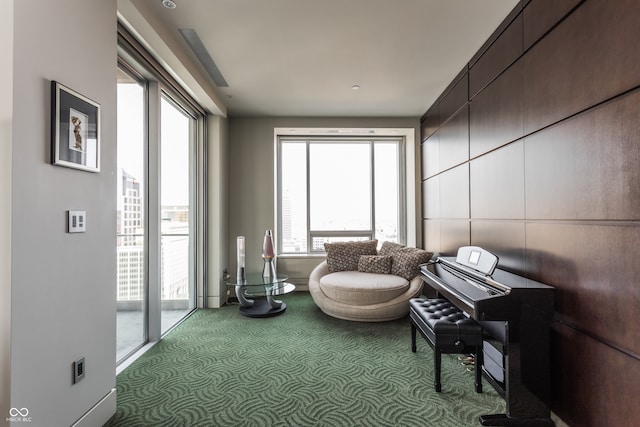 living area with carpet floors and plenty of natural light