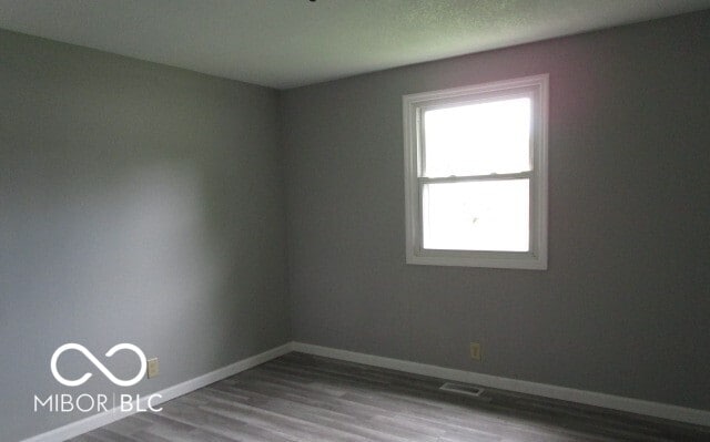 empty room featuring hardwood / wood-style floors and plenty of natural light