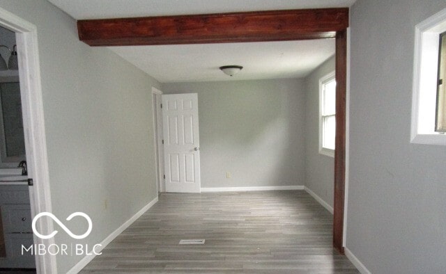 interior space with sink, a wealth of natural light, and hardwood / wood-style floors