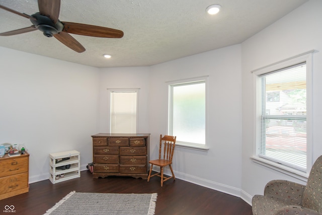 living area with dark hardwood / wood-style floors, a textured ceiling, and a wealth of natural light