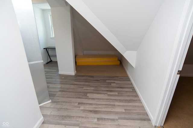 stairway with hardwood / wood-style flooring