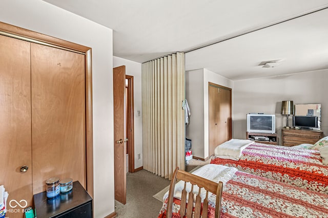 carpeted bedroom with two closets