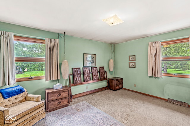 sitting room with carpet floors