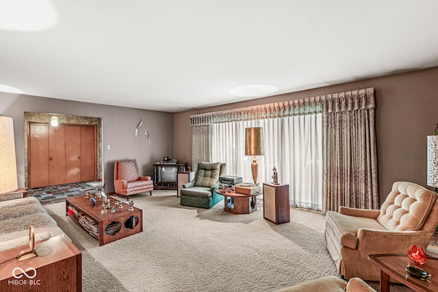 living room featuring carpet floors