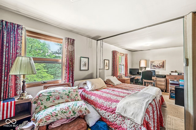 bedroom with carpet flooring