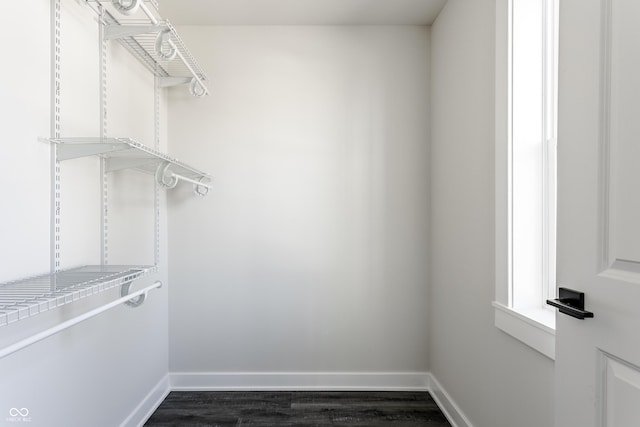 spacious closet featuring dark wood-type flooring