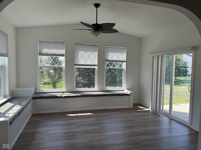 empty room with dark hardwood / wood-style flooring, plenty of natural light, and vaulted ceiling