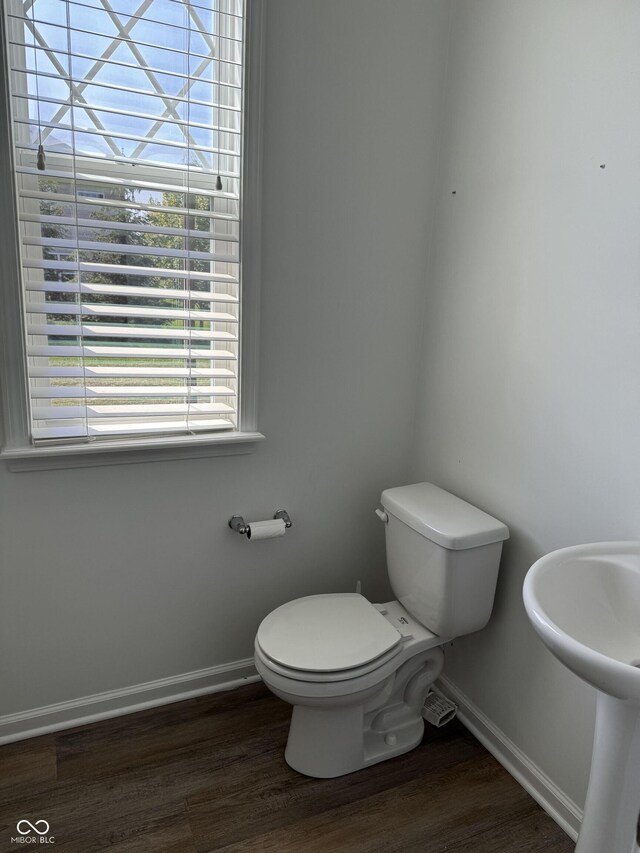 bathroom with wood-type flooring and toilet