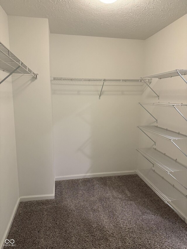 walk in closet with dark carpet