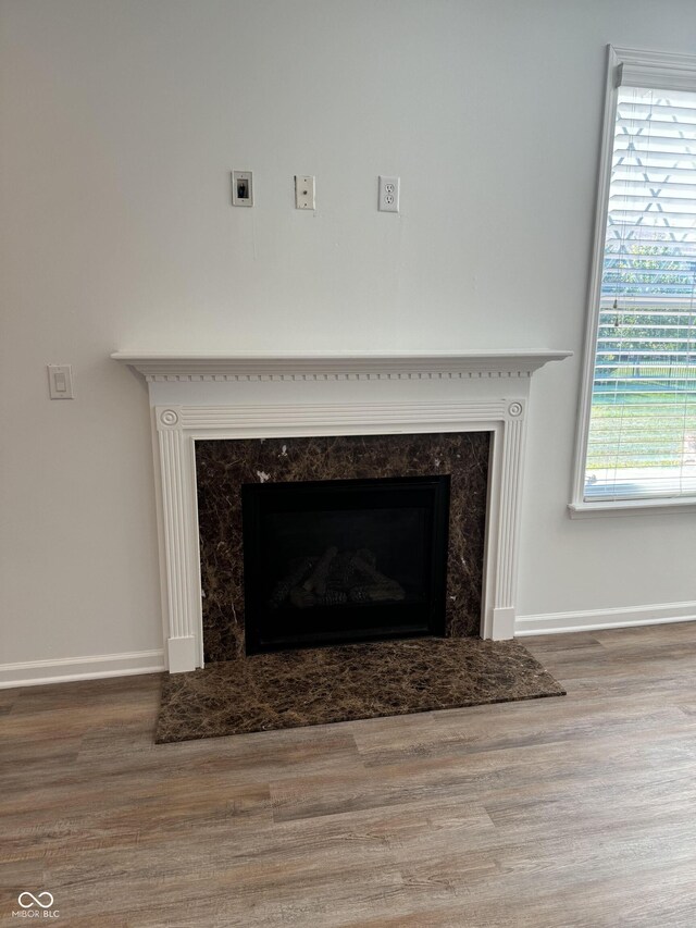 interior details featuring a premium fireplace and hardwood / wood-style floors