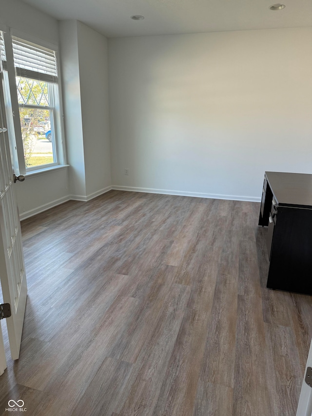 spare room featuring wood-type flooring