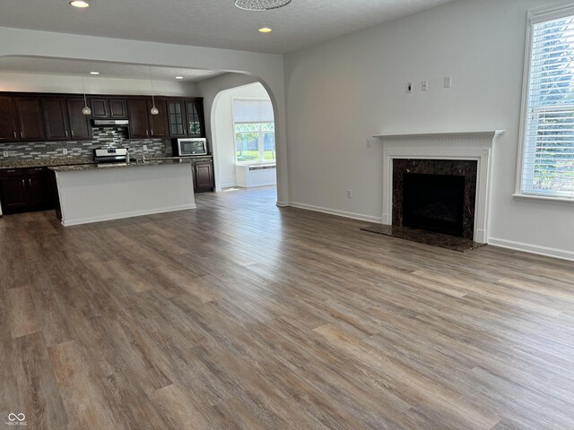 interior space with hardwood / wood-style floors and a high end fireplace