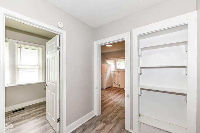 hall with a healthy amount of sunlight and light hardwood / wood-style floors