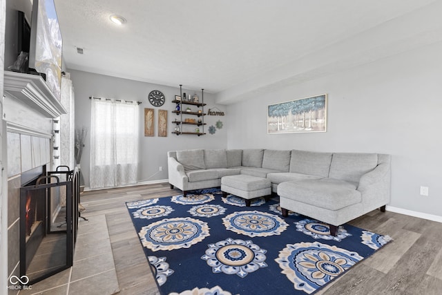 living room with a fireplace and hardwood / wood-style floors