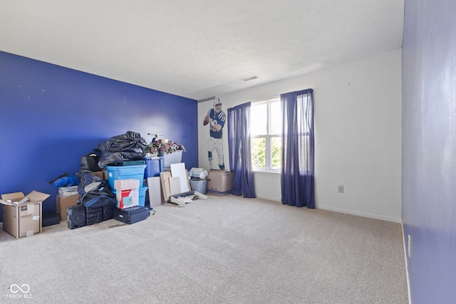 misc room with light carpet and a textured ceiling