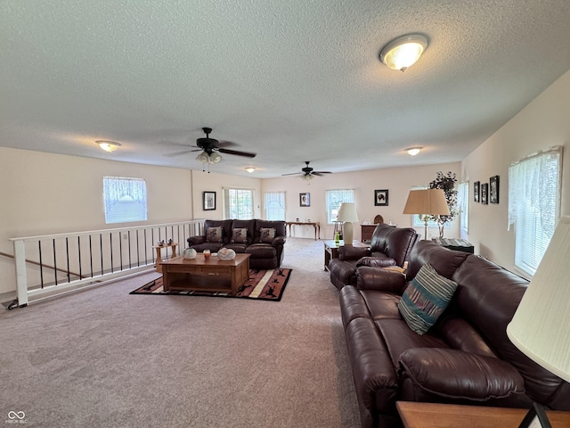 living room with carpet floors and a textured ceiling