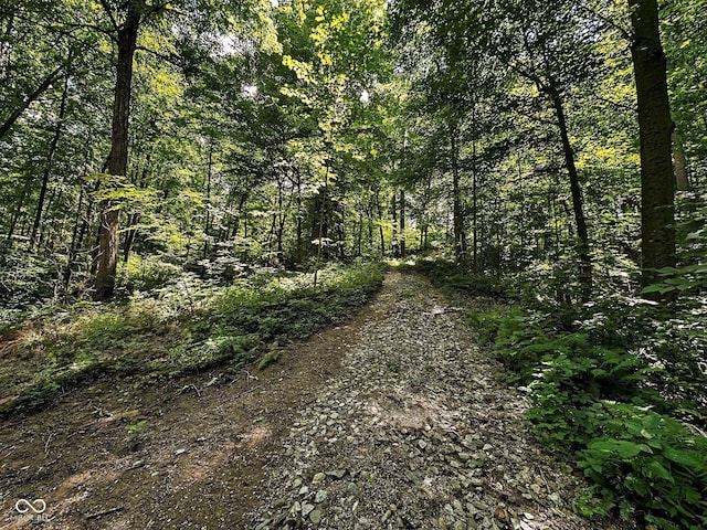 view of local wilderness