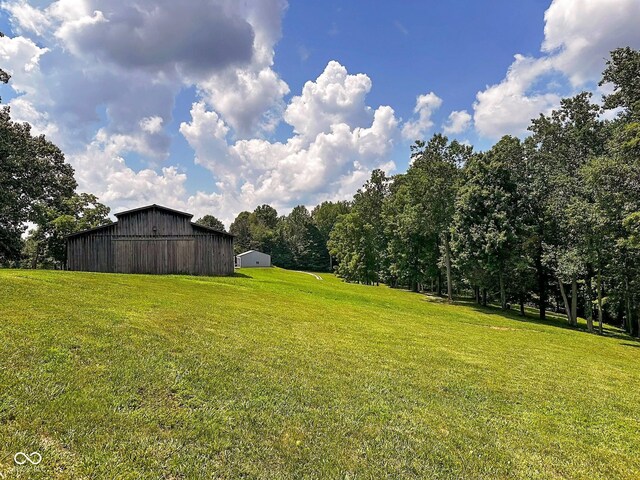 view of yard with an outdoor structure