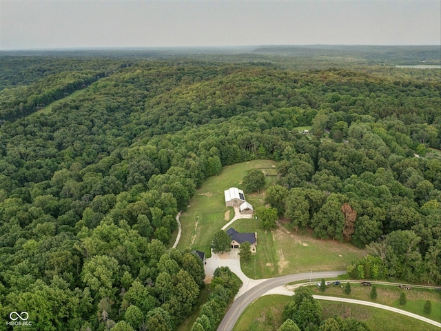 bird's eye view