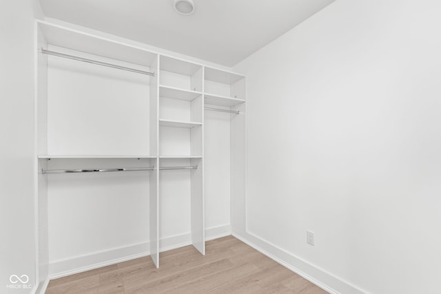 walk in closet featuring light wood-type flooring