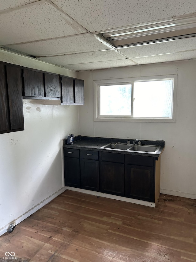 kitchen featuring a paneled ceiling, dark hardwood / wood-style floors, and sink