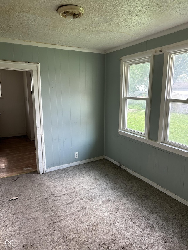 carpeted spare room with a textured ceiling and a wealth of natural light