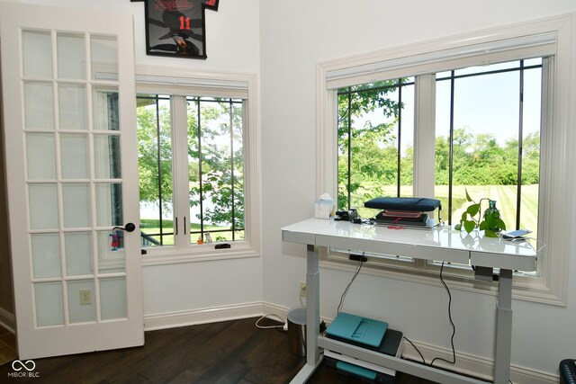 office area featuring dark hardwood / wood-style floors and a healthy amount of sunlight