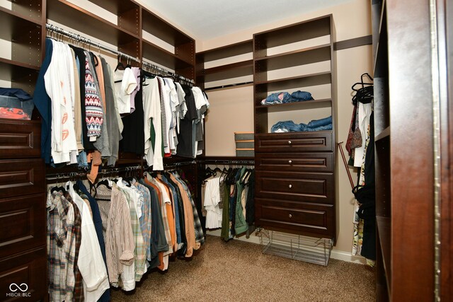 walk in closet featuring carpet floors