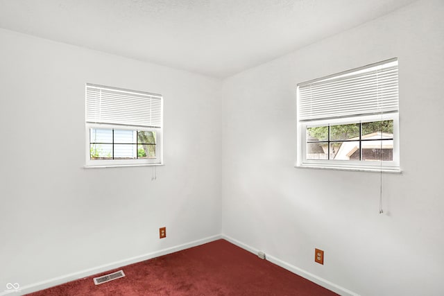 unfurnished room featuring carpet and a healthy amount of sunlight