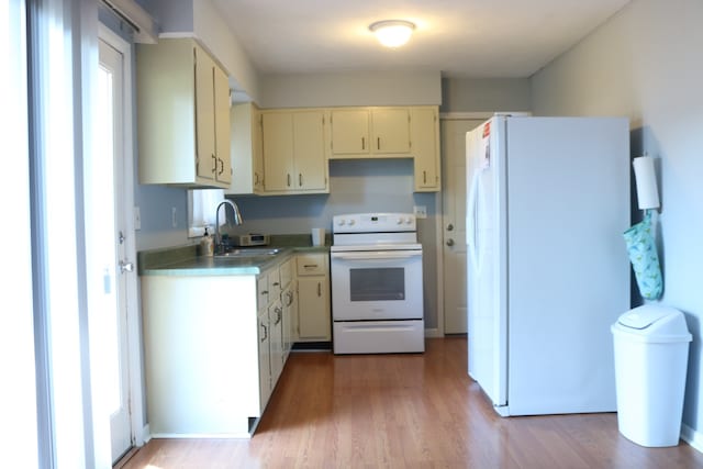 kitchen featuring light wood-type flooring, cream cabinetry, sink, and white appliances